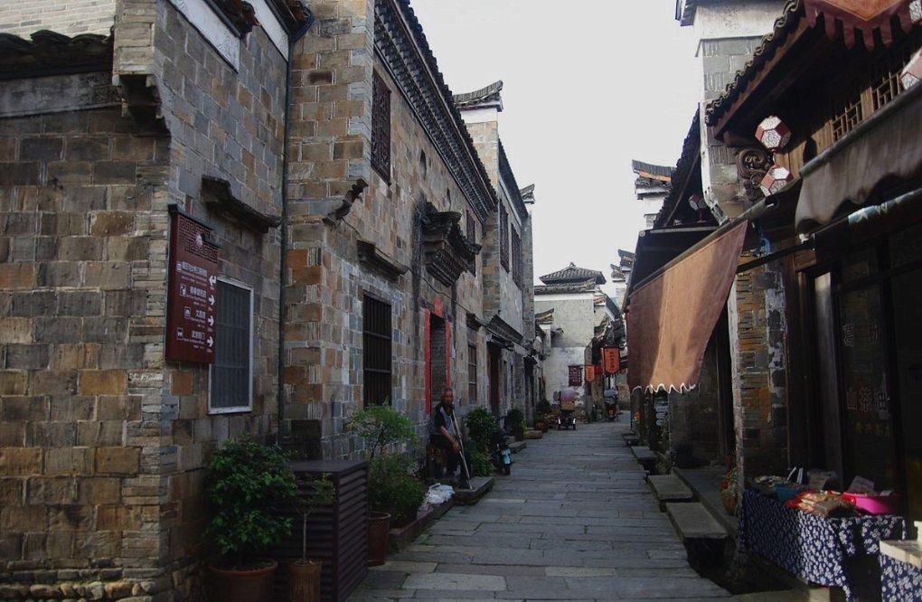 救援鹦鹉